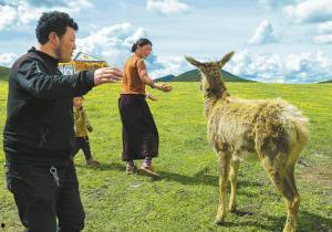 谁爆料鹿家门口的人呢视频,视频爆料背后的真相 第2张 谁爆料鹿家门口的人呢视频,视频爆料背后的真相 第2张