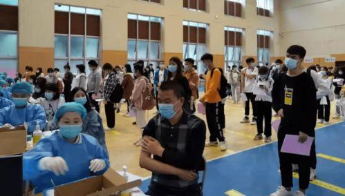 文安何小姐最新爆料消息,揭秘事件背后惊人真相  第2张